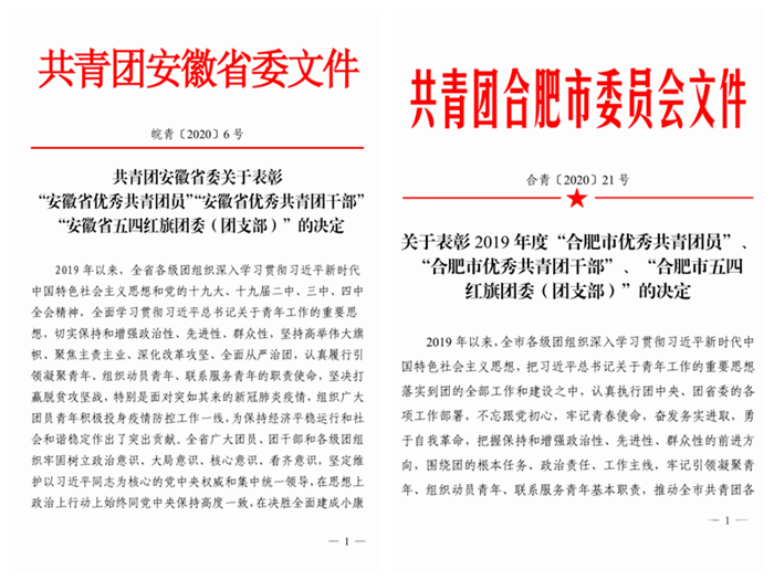 合肥職業技術學院多名師生、集體受共青團合肥省市委表彰(圖1)