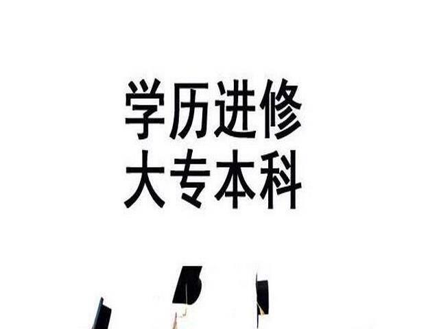 成人高考醫學 不能作為參加執業醫師考試的依據