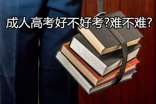 專升本成人高考的報名、學習內容、區別等