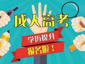 安徽成考網上報名系統怎么使用 成考和自考有什么區別