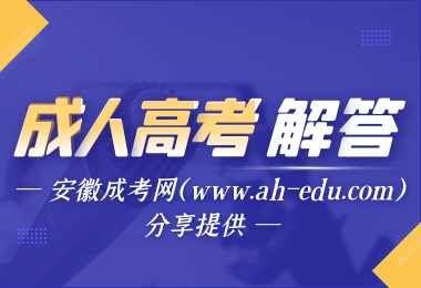 安徽財經大學成人高考錄取查詢